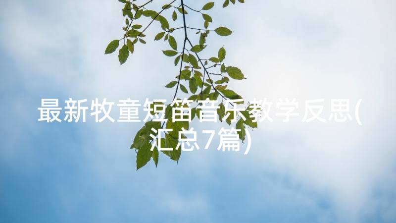 最新牧童短笛音乐教学反思(汇总7篇)