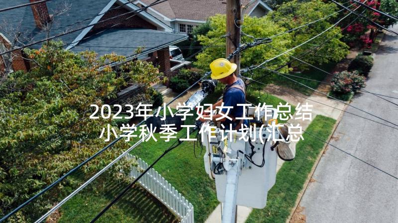 2023年小学妇女工作总结 小学秋季工作计划(汇总6篇)