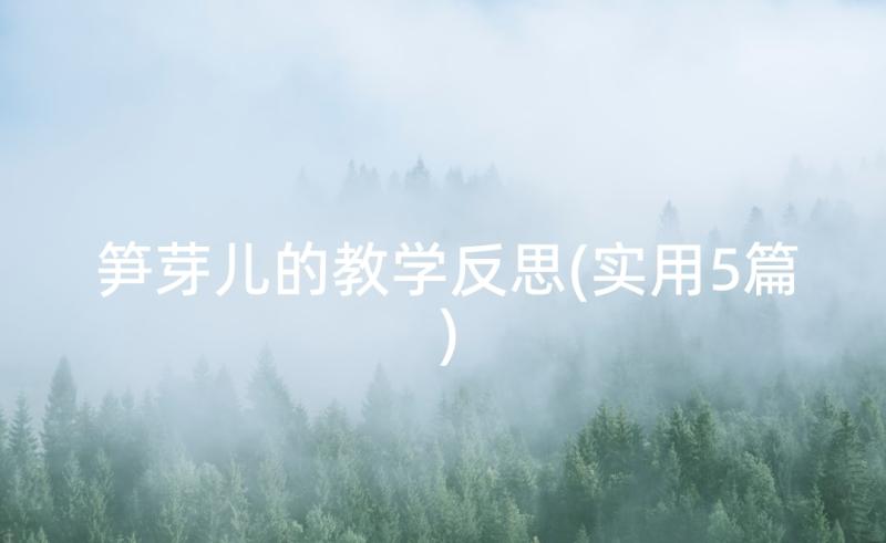 笋芽儿的教学反思(实用5篇)