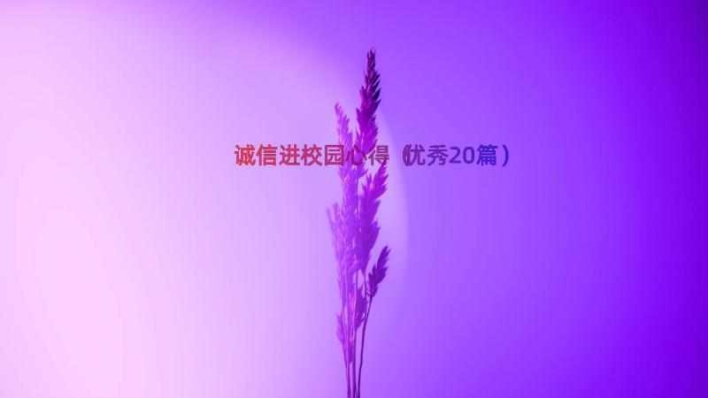 诚信进校园心得（优秀20篇）