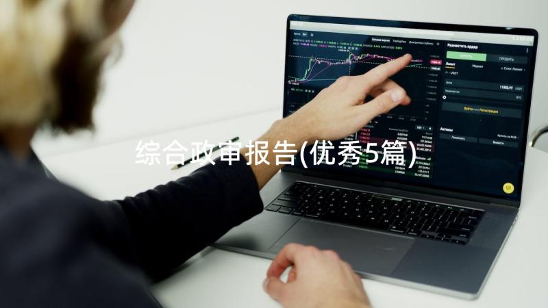 综合政审报告(优秀5篇)