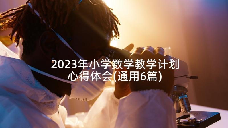 2023年小学数学教学计划心得体会(通用6篇)