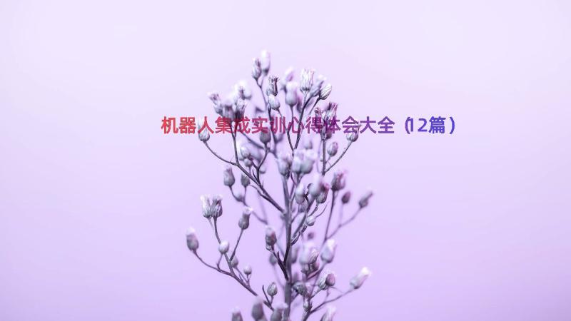 机器人集成实训心得体会大全（12篇）