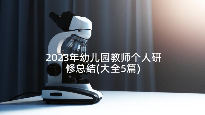 2023年幼儿园教师个人研修总结(大全5篇)