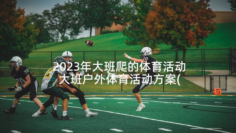 2023年大班爬的体育活动 大班户外体育活动方案(汇总5篇)