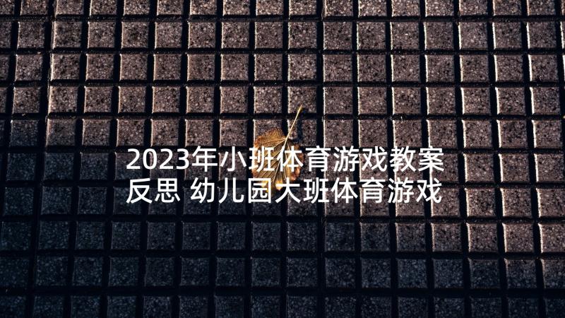 2023年小班体育游戏教案反思 幼儿园大班体育游戏活动教案含反思(大全9篇)