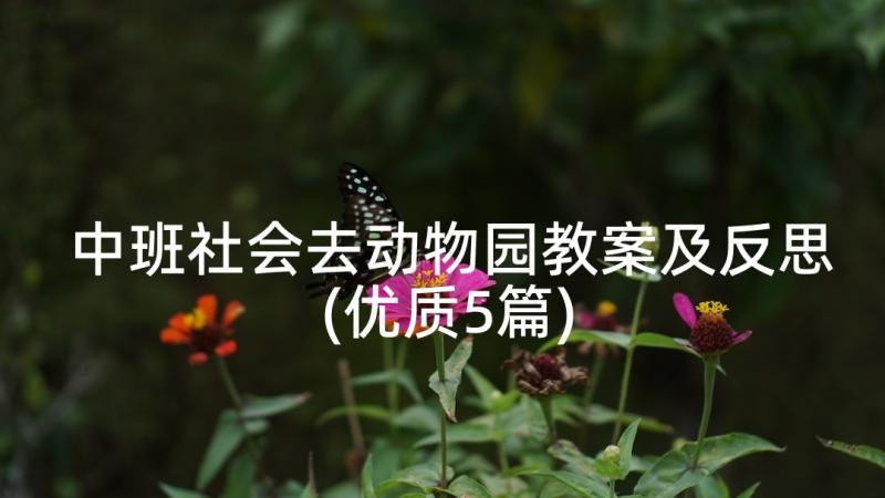 中班社会去动物园教案及反思(优质5篇)