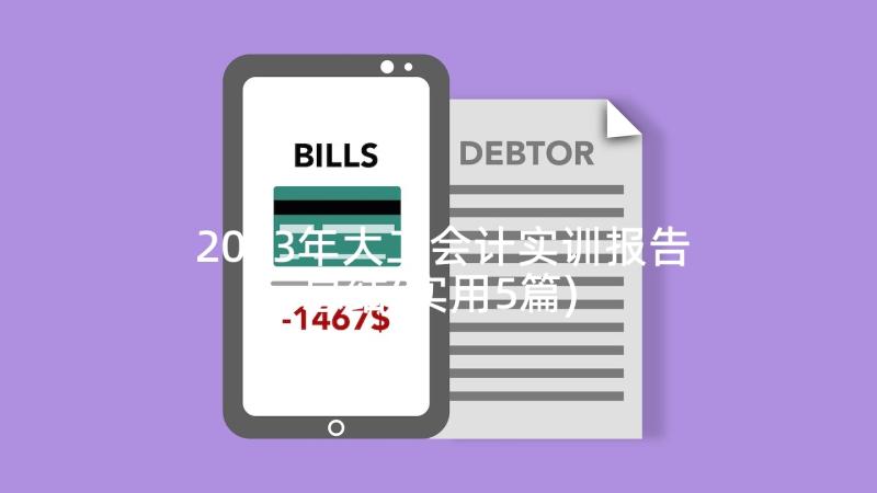 2023年大二会计实训报告总结(实用5篇)