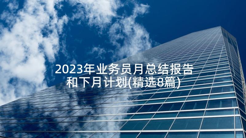 2023年业务员月总结报告和下月计划(精选8篇)