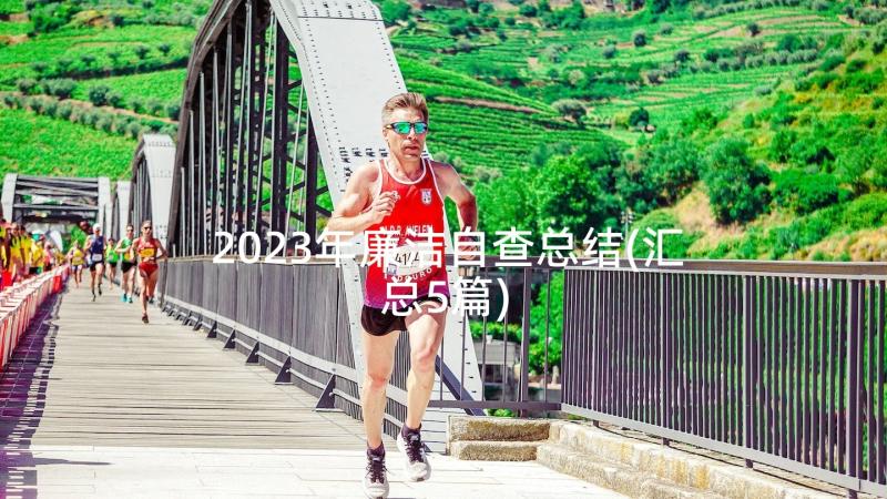 2023年廉洁自查总结(汇总5篇)