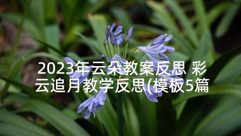 2023年云朵教案反思 彩云追月教学反思(模板5篇)