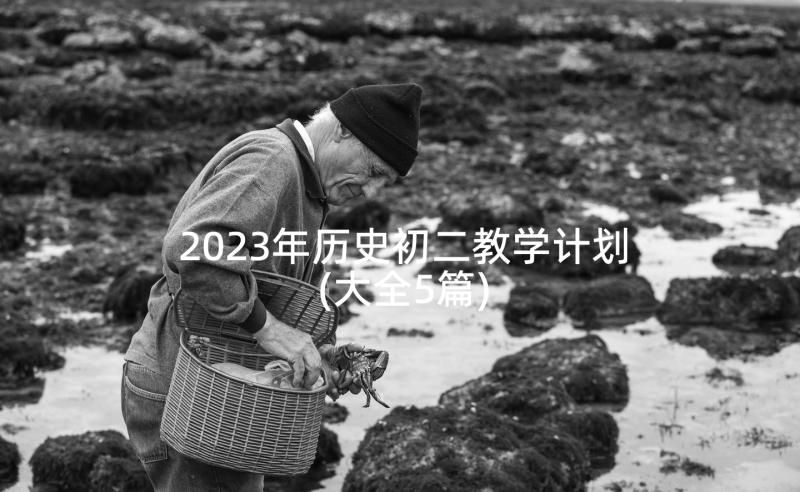 2023年历史初二教学计划(大全5篇)