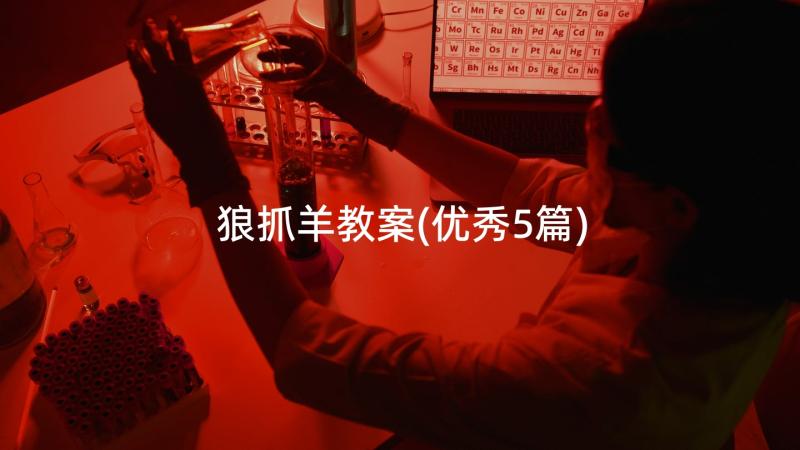 狼抓羊教案(优秀5篇)