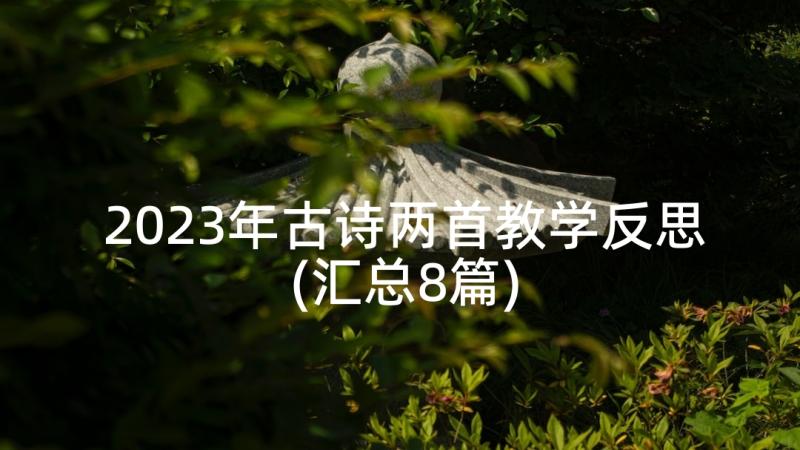 2023年古诗两首教学反思(汇总8篇)