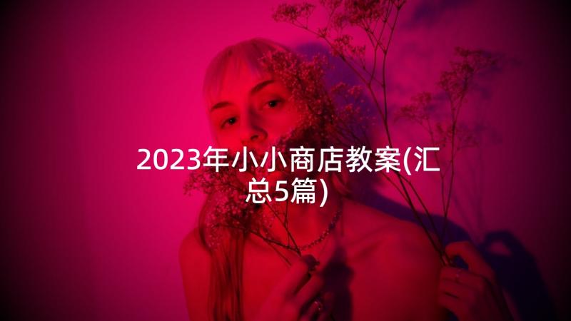 2023年小小商店教案(汇总5篇)