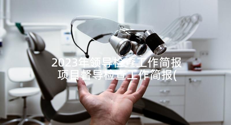 2023年领导检查工作简报 项目督导检查工作简报(优质5篇)