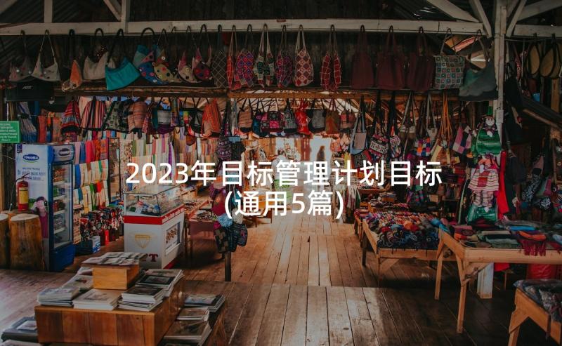 2023年目标管理计划目标(通用5篇)