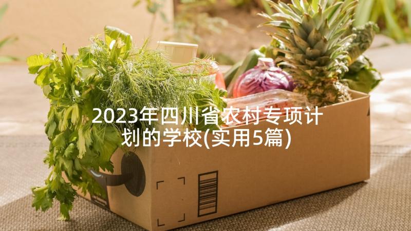 2023年四川省农村专项计划的学校(实用5篇)