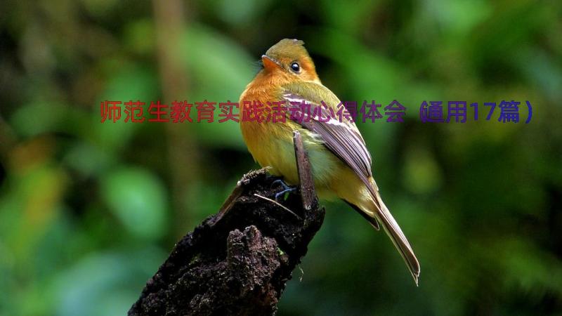 师范生教育实践活动心得体会（通用17篇）