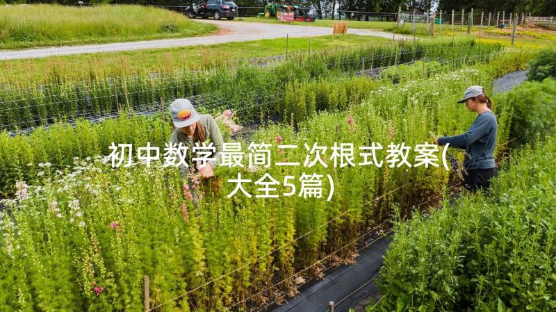 初中数学最简二次根式教案(大全5篇)