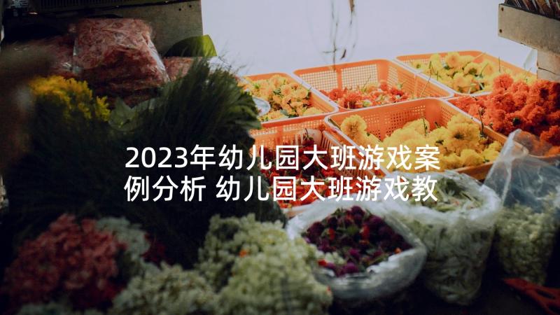 2023年幼儿园大班游戏案例分析 幼儿园大班游戏教案(实用5篇)