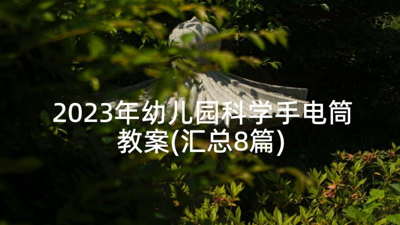 2023年幼儿园科学手电筒教案(汇总8篇)