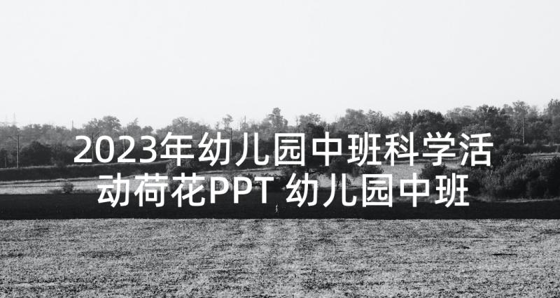 2023年幼儿园中班科学活动荷花PPT 幼儿园中班科学活动方案(模板6篇)