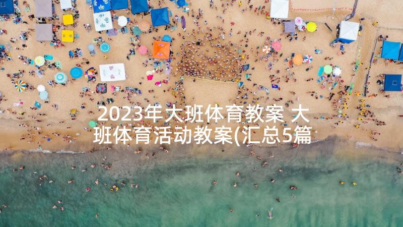 2023年大班体育教案 大班体育活动教案(汇总5篇)