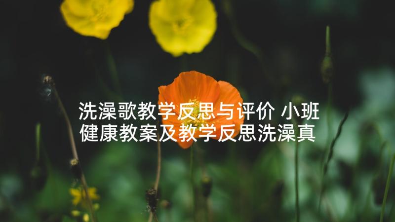 洗澡歌教学反思与评价 小班健康教案及教学反思洗澡真舒服(大全5篇)