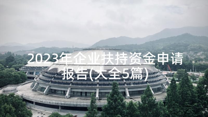 2023年企业扶持资金申请报告(大全5篇)