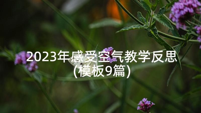 2023年感受空气教学反思(模板9篇)