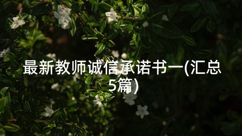 最新教师诚信承诺书一(汇总5篇)