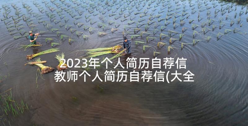 2023年个人简历自荐信 教师个人简历自荐信(大全10篇)