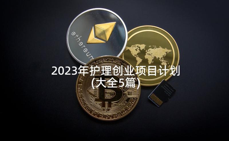 2023年护理创业项目计划(大全5篇)