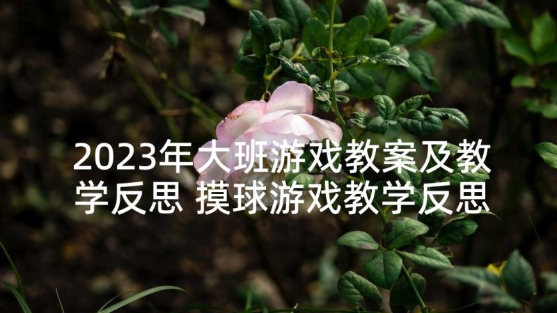 2023年大班游戏教案及教学反思 摸球游戏教学反思(精选7篇)