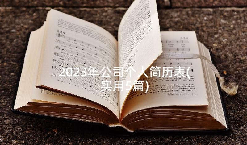 2023年公司个人简历表(实用5篇)