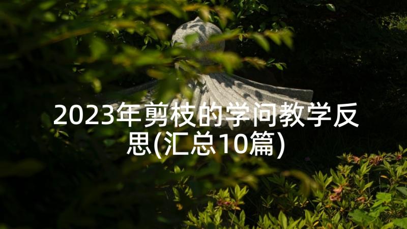 2023年剪枝的学问教学反思(汇总10篇)