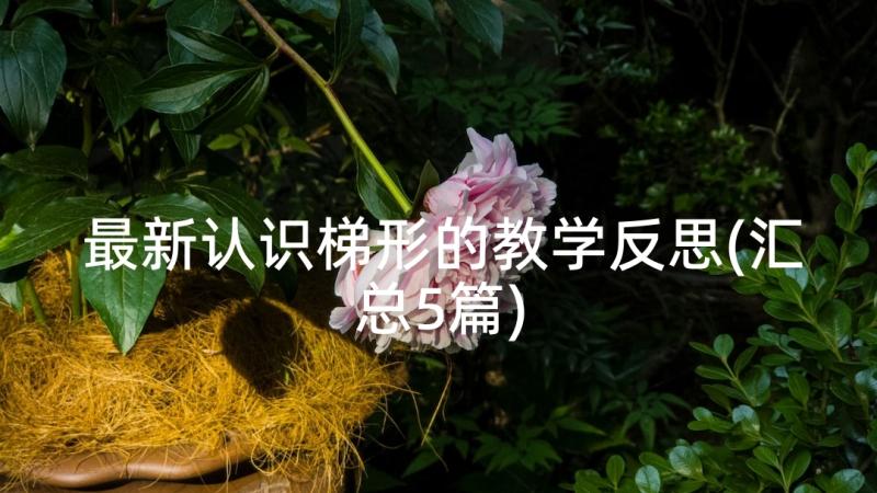 最新认识梯形的教学反思(汇总5篇)