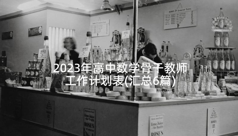 2023年高中数学骨干教师工作计划表(汇总6篇)