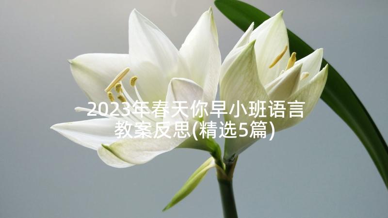 2023年春天你早小班语言教案反思(精选5篇)