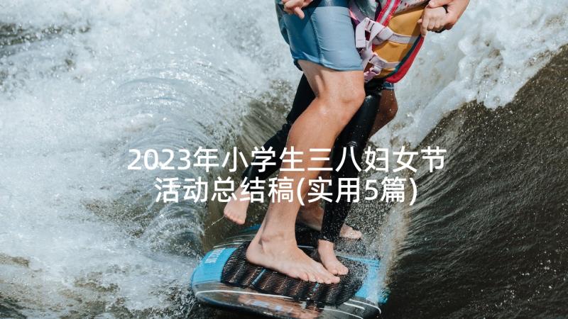 2023年小学生三八妇女节活动总结稿(实用5篇)