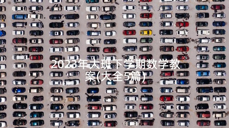 2023年大班下学期数学教案(大全5篇)