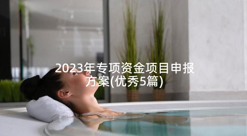 2023年专项资金项目申报方案(优秀5篇)