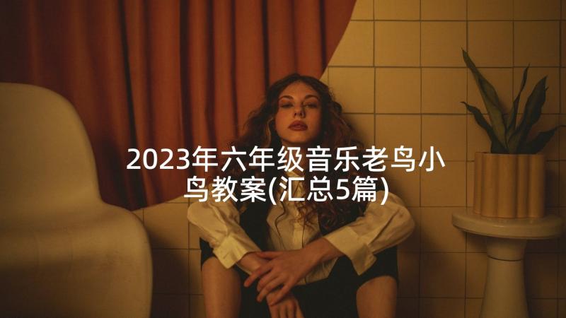 2023年六年级音乐老鸟小鸟教案(汇总5篇)