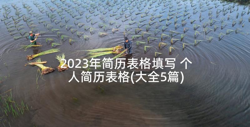 2023年简历表格填写 个人简历表格(大全5篇)