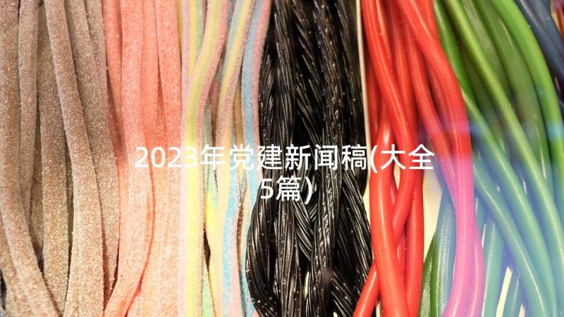 2023年党建新闻稿(大全5篇)