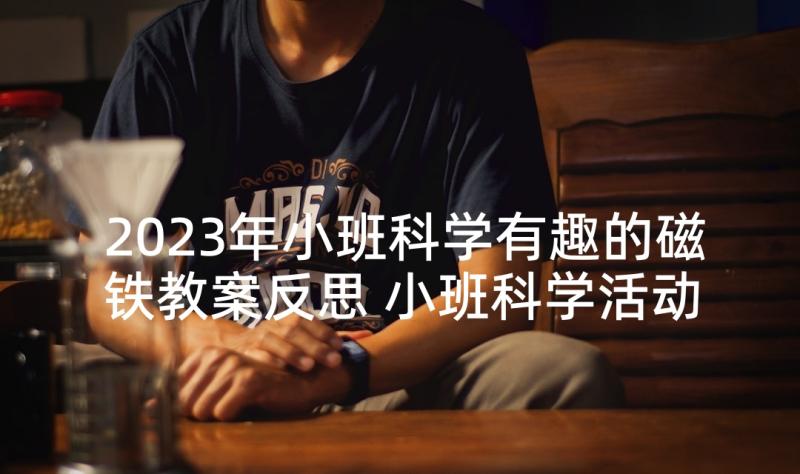 2023年小班科学有趣的磁铁教案反思 小班科学活动教案好玩的磁铁(精选5篇)