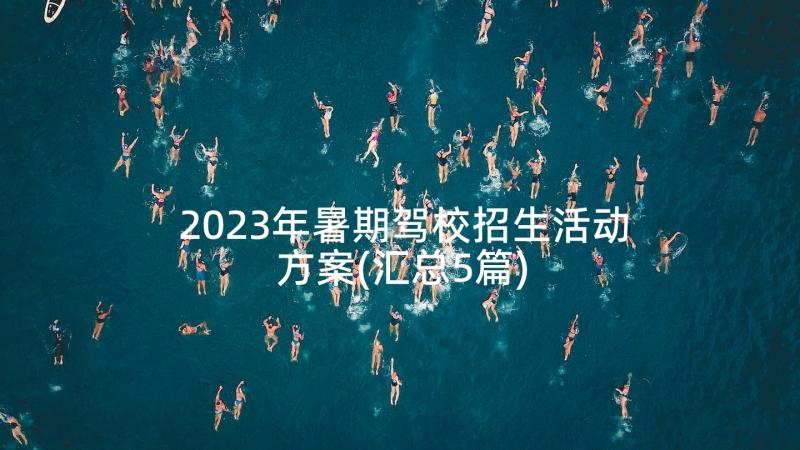 2023年暑期驾校招生活动方案(汇总5篇)
