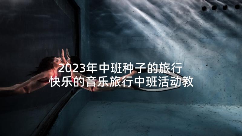 2023年中班种子的旅行 快乐的音乐旅行中班活动教案(实用5篇)