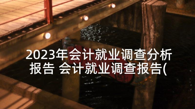 2023年会计就业调查分析报告 会计就业调查报告(优秀8篇)